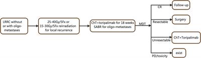 Frontiers TORCH R Trial Protocol Hypofractionated Radiotherapy